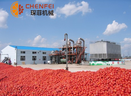<b>番茄/胡蘿卜/枸杞/沙棘類蔬菜加工生產線</b>